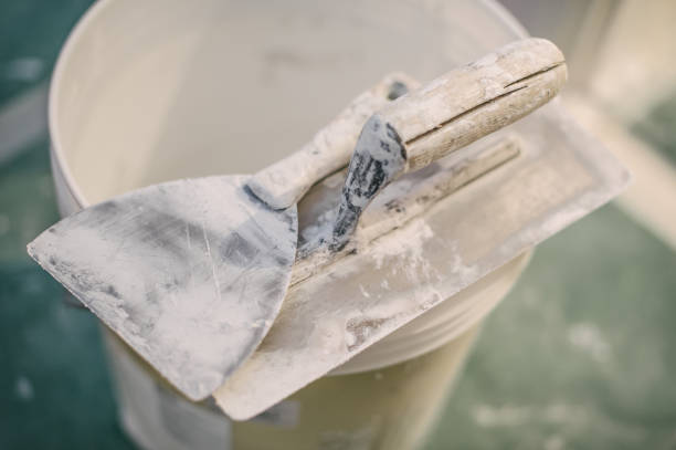 Best Forensic Mold Investigation  in Lame Deer, MT