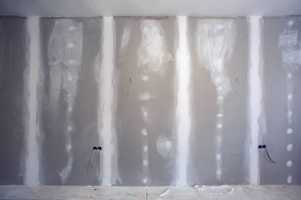 Best Attic Mold Removal  in Lame Deer, MT